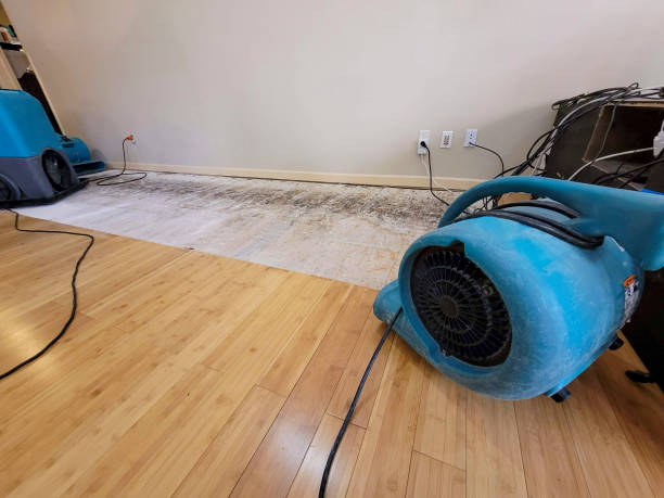 Professional Burst Pipe Water Damage technician working in East Sandwich, MA